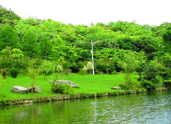 人工植被的應用有什么樣的效果和作用呢？