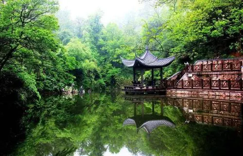 安徽敬亭山國(guó)家森林公園生態(tài)破壞現(xiàn)象嚴(yán)重被點(diǎn)名