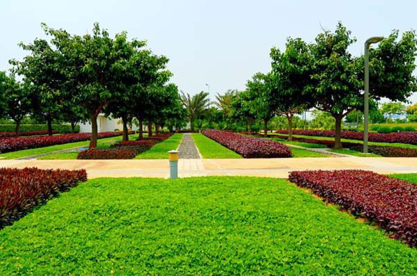 園林綠化常見問題總結，值得收藏