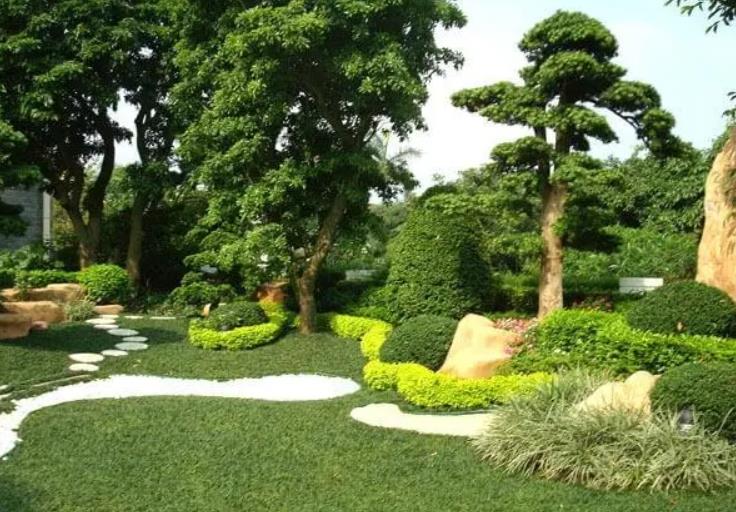 園林景觀設(shè)計之植物墻設(shè)計在哪些地方適合？