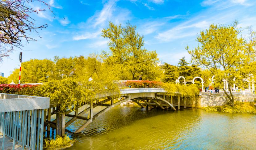 秋季關于園林綠化養護專業知識 ，你知道多少？