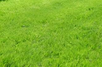 依其用途，草坪可分為幾類呢？